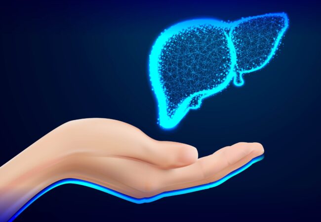 Hand Care. Closeup of female hand in doctors coat ponting or holding Liver, Heart, Human anatomy. Medicine, healthcare and advertisement concept Изображение от WangXiNa на Freepik